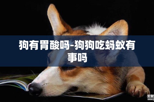 狗有胃酸嗎-狗狗吃螞蟻有事嗎