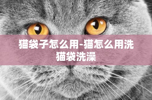 貓袋子怎么用-貓怎么用洗貓袋洗澡