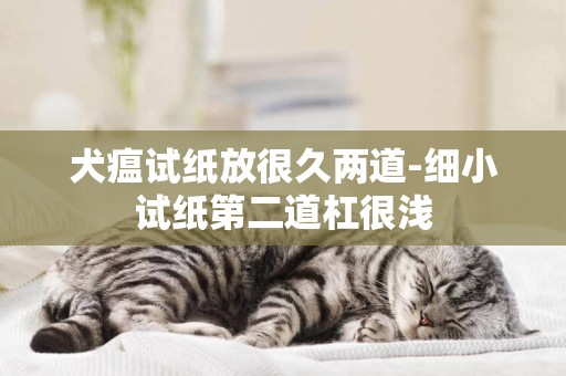犬瘟試紙放很久兩道-細小試紙第二道杠很淺