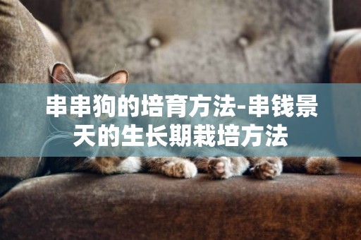 串串狗的培育方法-串錢景天的生長期栽培方法