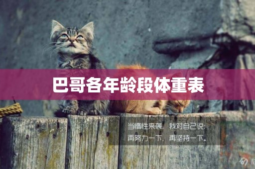 巴哥各年齡段體重表