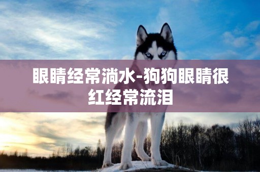 眼睛經常淌水-狗狗眼睛很紅經常流淚