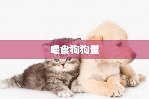 喂食狗狗量