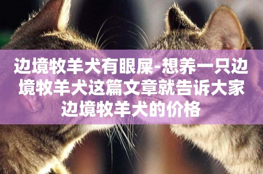 邊境牧羊犬有眼屎-想養一只邊境牧羊犬這篇文章就告訴大家邊境牧羊犬的價格
