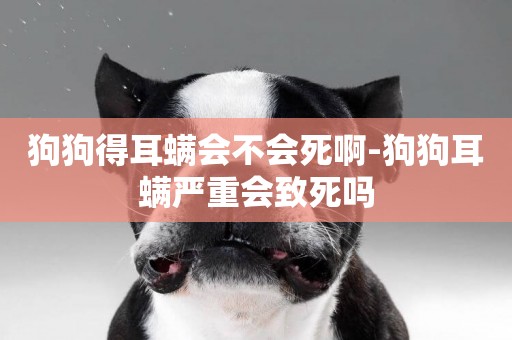 狗狗得耳螨會不會死啊-狗狗耳螨嚴重會致死嗎