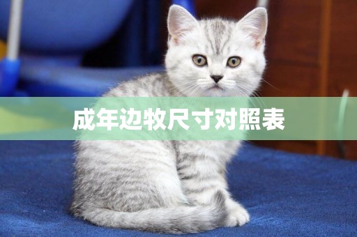 成年邊牧尺寸對照表