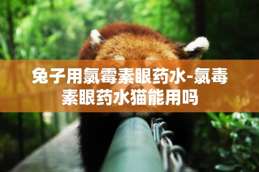 兔子用氯霉素眼藥水-氯毒素眼藥水貓能用嗎