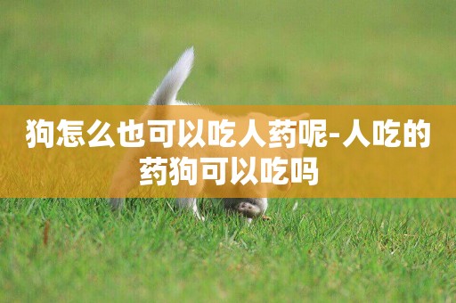 狗怎么也可以吃人藥呢-人吃的藥狗可以吃嗎