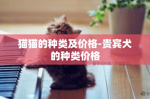 貓貓的種類及價格-貴賓犬的種類價格