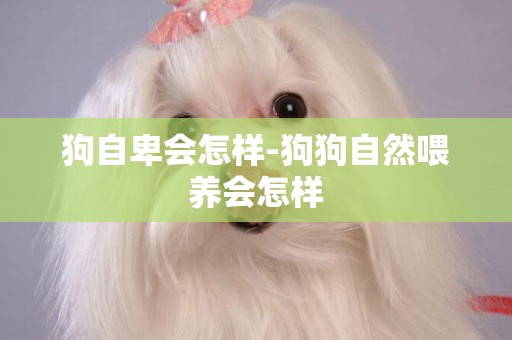 狗自卑會怎樣-狗狗自然喂養會怎樣