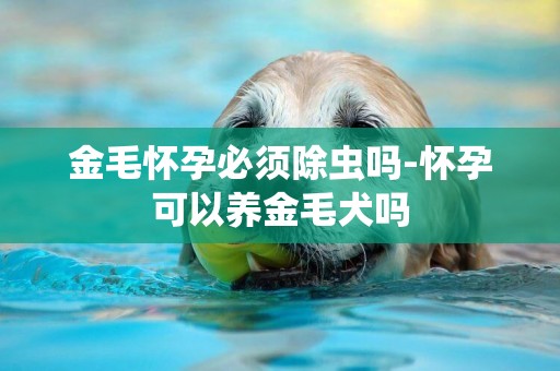 金毛懷孕必須除蟲嗎-懷孕可以養金毛犬嗎