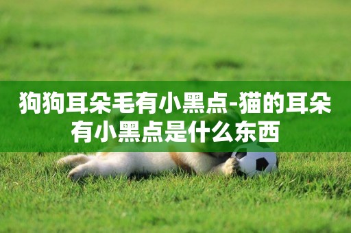 狗狗耳朵毛有小黑點-貓的耳朵有小黑點是什么東西