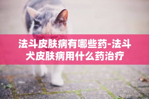 法斗皮膚病有哪些藥-法斗犬皮膚病用什么藥治療