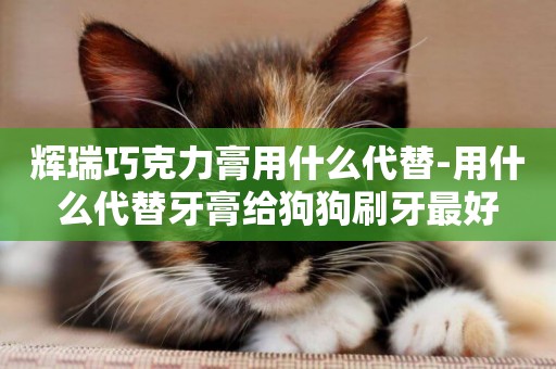 輝瑞巧克力膏用什么代替-用什么代替牙膏給狗狗刷牙最好