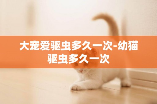 大寵愛驅蟲多久一次-幼貓驅蟲多久一次
