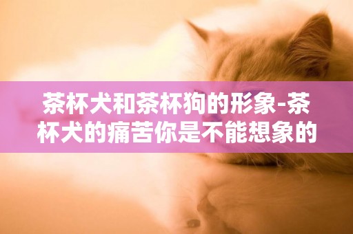 茶杯犬和茶杯狗的形象-茶杯犬的痛苦你是不能想象的