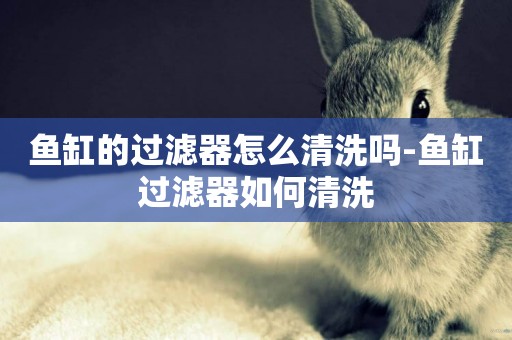 魚缸的過濾器怎么清洗嗎-魚缸過濾器如何清洗