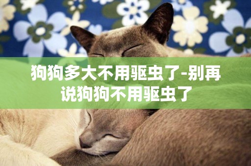 狗狗多大不用驅蟲了-別再說狗狗不用驅蟲了
