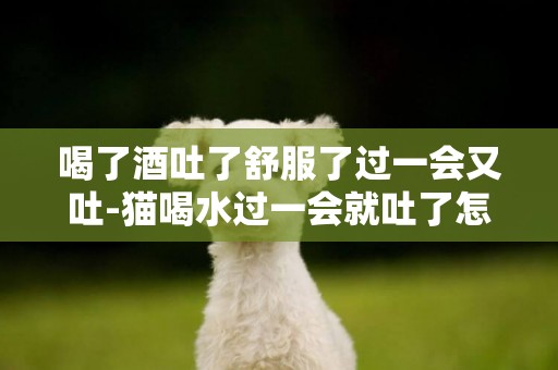 喝了酒吐了舒服了過一會又吐-貓喝水過一會就吐了怎么回事