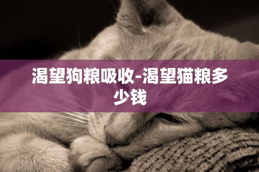 渴望狗糧吸收-渴望貓糧多少錢