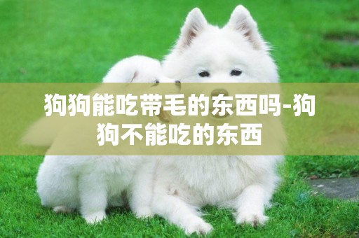 狗狗能吃帶毛的東西嗎-狗狗不能吃的東西