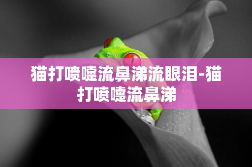 貓打噴嚏流鼻涕流眼淚-貓打噴嚏流鼻涕