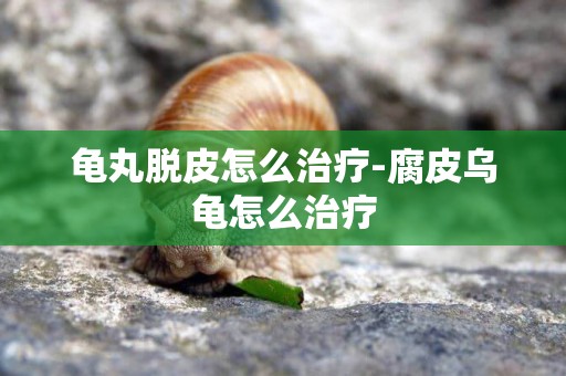 龜丸脫皮怎么治療-腐皮烏龜怎么治療