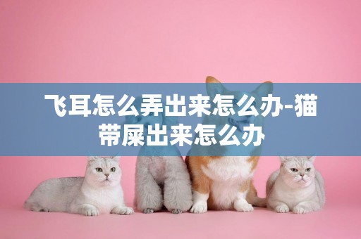 飛耳怎么弄出來怎么辦-貓帶屎出來怎么辦