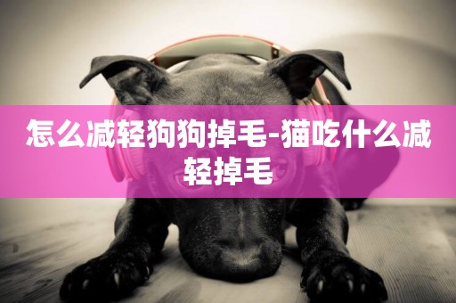 怎么減輕狗狗掉毛-貓吃什么減輕掉毛