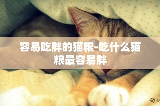 容易吃胖的貓糧-吃什么貓糧最容易胖