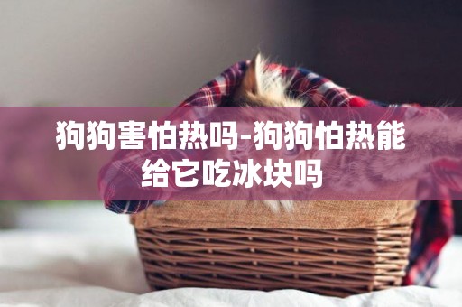 狗狗害怕熱嗎-狗狗怕熱能給它吃冰塊嗎