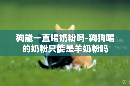 狗能一直喝奶粉嗎-狗狗喝的奶粉只能是羊奶粉嗎