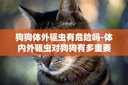狗狗體外驅蟲有危險嗎-體內外驅蟲對狗狗有多重要