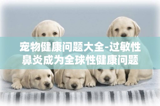 寵物健康問題大全-過敏性鼻炎成為全球性健康問題