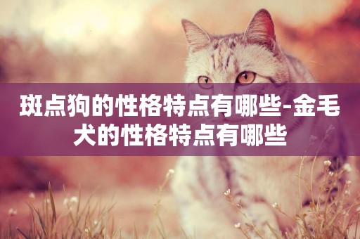 斑點狗的性格特點有哪些-金毛犬的性格特點有哪些