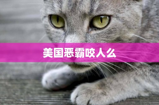 美國惡霸咬人么