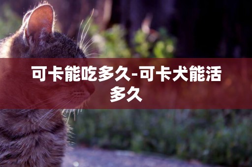 可卡能吃多久-可卡犬能活多久
