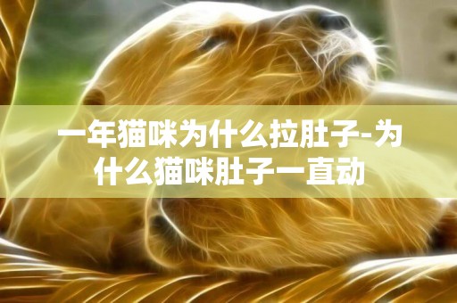 一年貓咪為什么拉肚子-為什么貓咪肚子一直動
