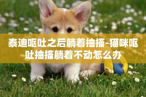 泰迪嘔吐之后躺著抽搐-貓咪嘔吐抽搐躺著不動怎么辦