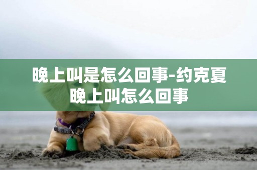 晚上叫是怎么回事-約克夏晚上叫怎么回事