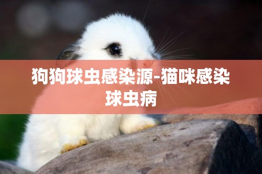 狗狗球蟲感染源-貓咪感染球蟲病