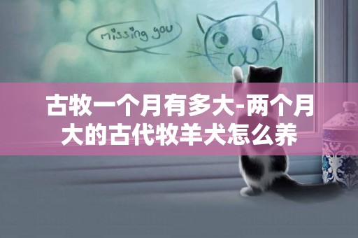 古牧一個月有多大-兩個月大的古代牧羊犬怎么養