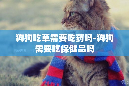 狗狗吃草需要吃藥嗎-狗狗需要吃保健品嗎