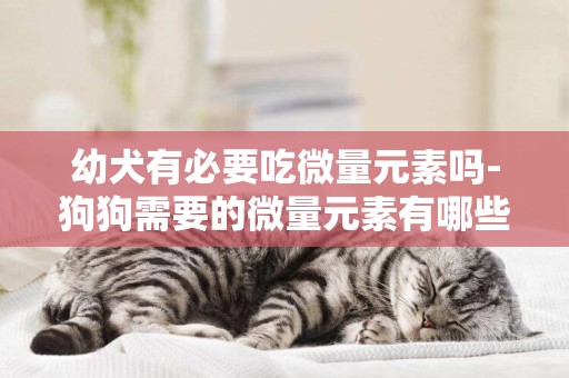 幼犬有必要吃微量元素嗎-狗狗需要的微量元素有哪些