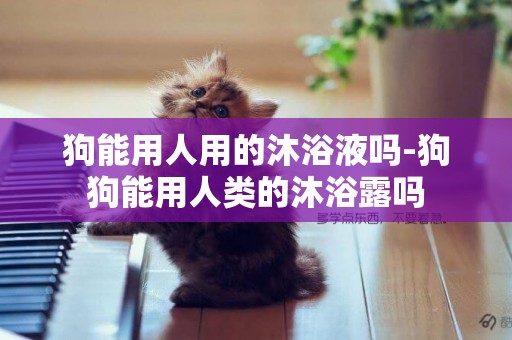 狗能用人用的沐浴液嗎-狗狗能用人類的沐浴露嗎