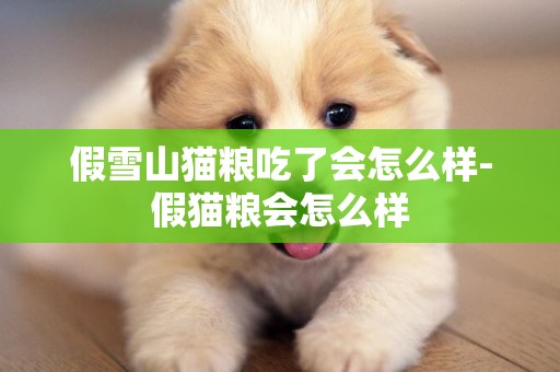 假雪山貓糧吃了會怎么樣-假貓糧會怎么樣