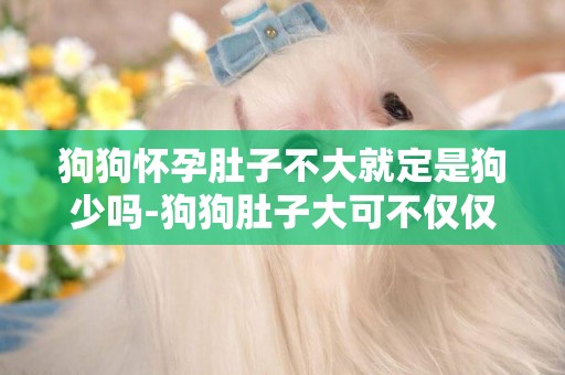 狗狗懷孕肚子不大就定是狗少嗎-狗狗肚子大可不僅僅是懷孕啊