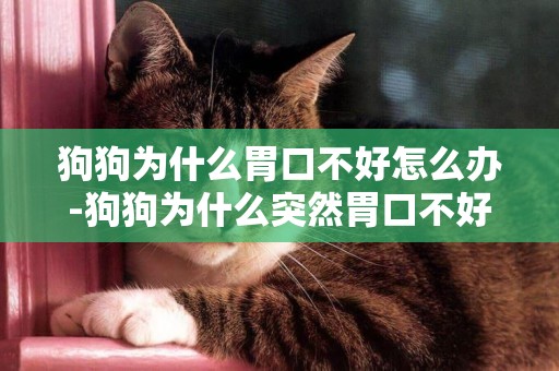 狗狗為什么胃口不好怎么辦-狗狗為什么突然胃口不好