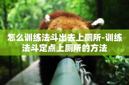 怎么訓練法斗出去上廁所-訓練法斗定點上廁所的方法