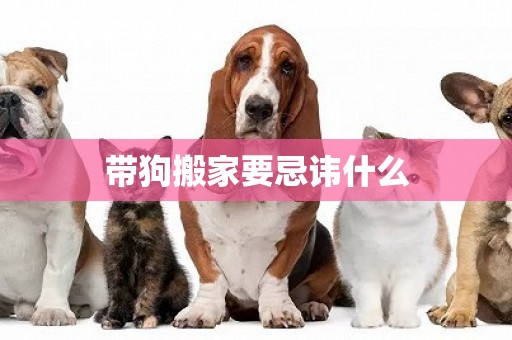 帶狗搬家要忌諱什么